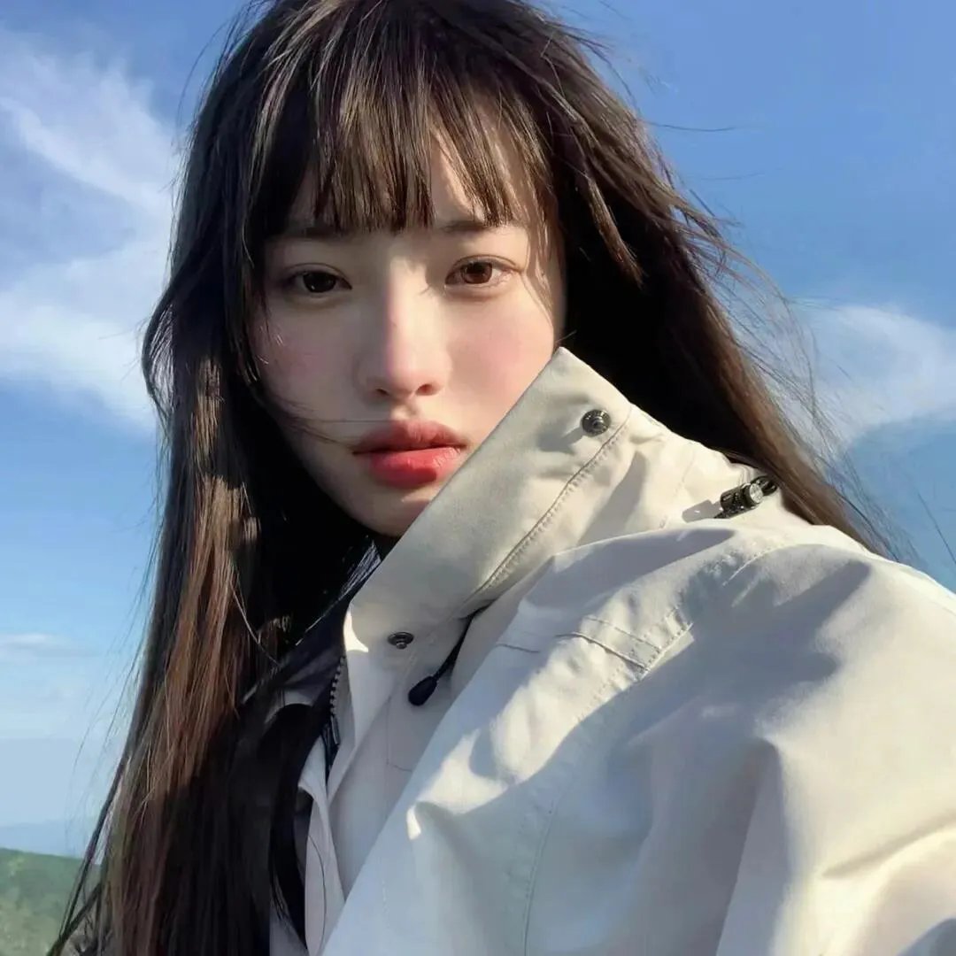 动画精选